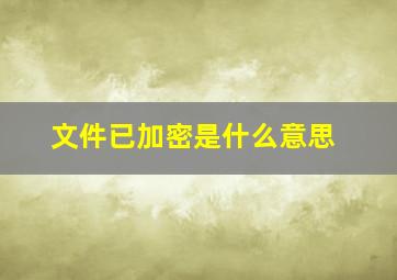 文件已加密是什么意思