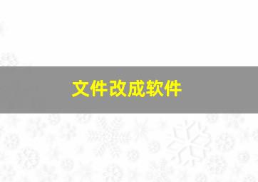 文件改成软件