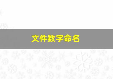 文件数字命名