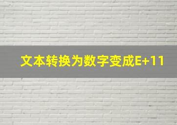 文本转换为数字变成E+11