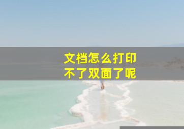 文档怎么打印不了双面了呢