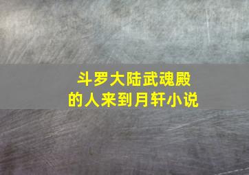 斗罗大陆武魂殿的人来到月轩小说