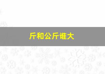 斤和公斤谁大