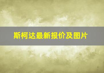 斯柯达最新报价及图片