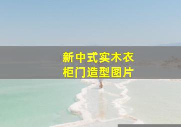 新中式实木衣柜门造型图片