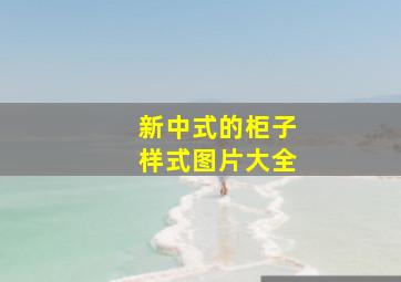 新中式的柜子样式图片大全