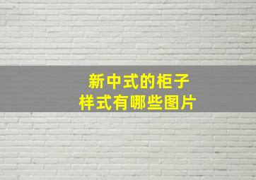 新中式的柜子样式有哪些图片