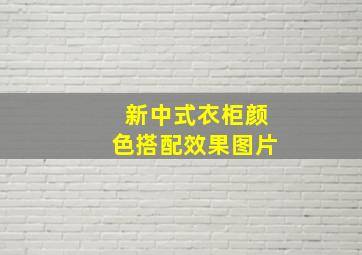 新中式衣柜颜色搭配效果图片