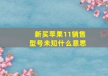 新买苹果11销售型号未知什么意思