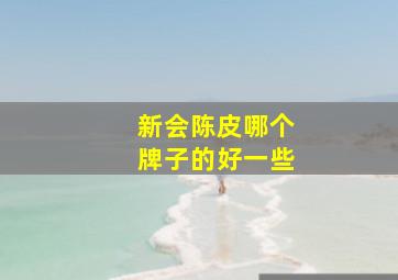 新会陈皮哪个牌子的好一些