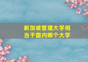 新加坡管理大学相当于国内哪个大学