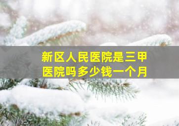 新区人民医院是三甲医院吗多少钱一个月