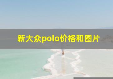 新大众polo价格和图片