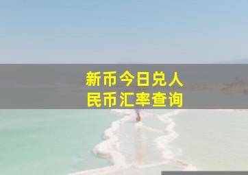 新币今日兑人民币汇率查询