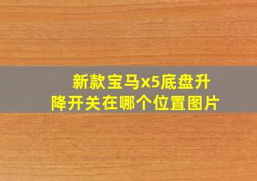 新款宝马x5底盘升降开关在哪个位置图片