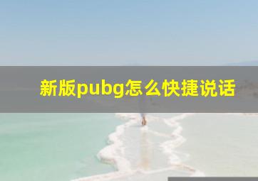 新版pubg怎么快捷说话