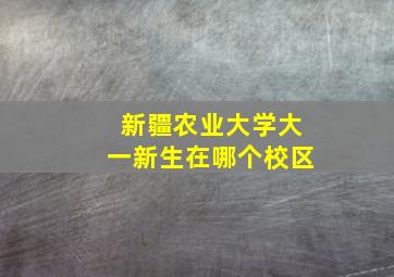 新疆农业大学大一新生在哪个校区