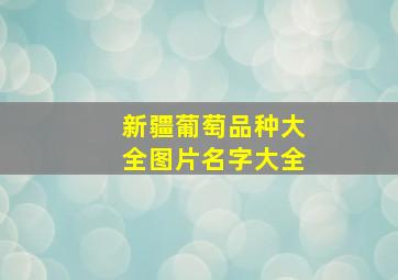 新疆葡萄品种大全图片名字大全