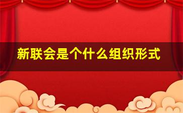 新联会是个什么组织形式