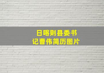 日喀则县委书记曹伟简历图片