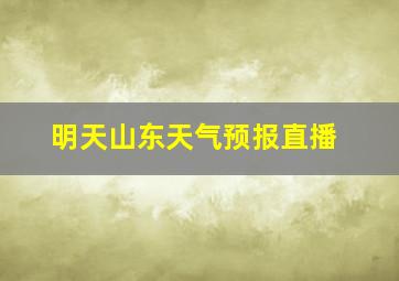 明天山东天气预报直播