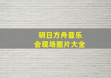 明日方舟音乐会现场图片大全