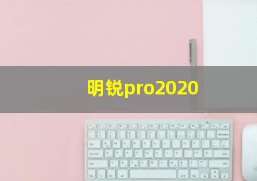 明锐pro2020