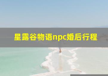 星露谷物语npc婚后行程