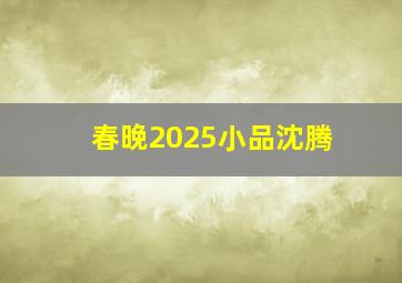 春晚2025小品沈腾