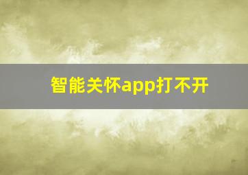 智能关怀app打不开