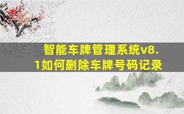 智能车牌管理系统v8.1如何删除车牌号码记录