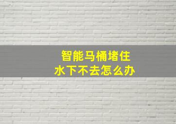 智能马桶堵住水下不去怎么办