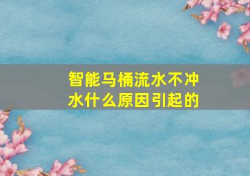 智能马桶流水不冲水什么原因引起的