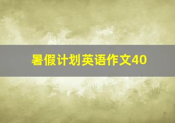 暑假计划英语作文40