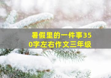 暑假里的一件事350字左右作文三年级