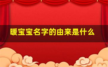 暖宝宝名字的由来是什么