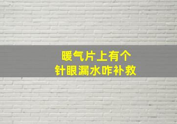 暖气片上有个针眼漏水咋补救