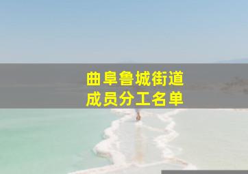 曲阜鲁城街道成员分工名单