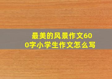 最美的风景作文600字小学生作文怎么写