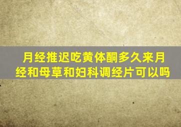 月经推迟吃黄体酮多久来月经和母草和妇科调经片可以吗