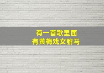 有一首歌里面有黄梅戏女驸马