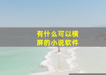 有什么可以横屏的小说软件