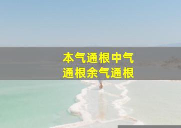 本气通根中气通根余气通根