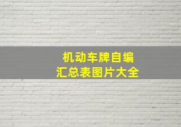 机动车牌自编汇总表图片大全