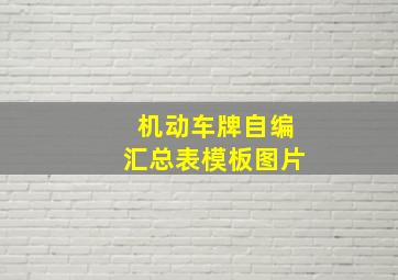 机动车牌自编汇总表模板图片