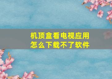 机顶盒看电视应用怎么下载不了软件