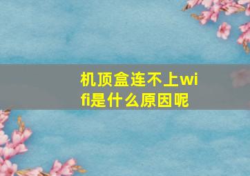 机顶盒连不上wifi是什么原因呢