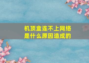 机顶盒连不上网络是什么原因造成的