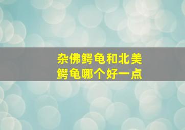 杂佛鳄龟和北美鳄龟哪个好一点