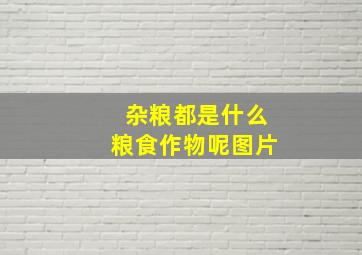 杂粮都是什么粮食作物呢图片